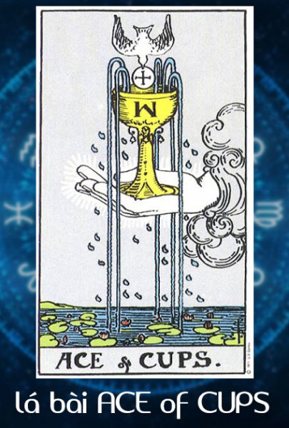 Lá bài Tarot Ace of Cups