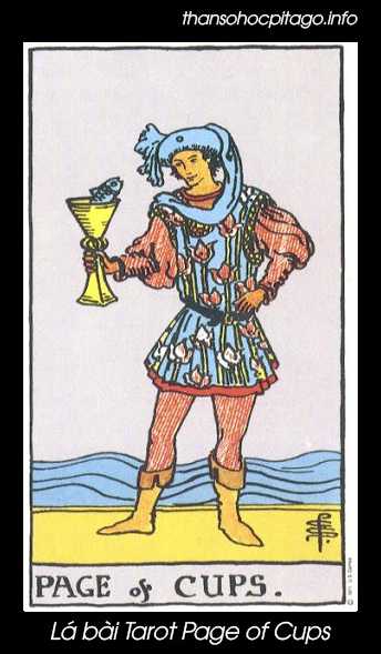 Hình ảnh lá bài Page of Cups