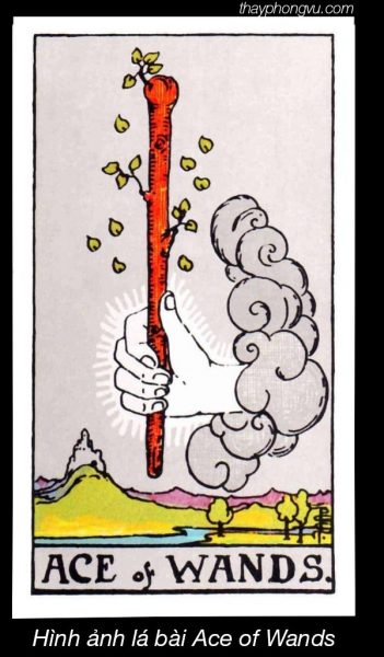 Hình ảnh lá bài Ace of Wands