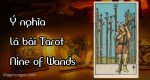 Ý nghĩa lá bài Nine of Wands