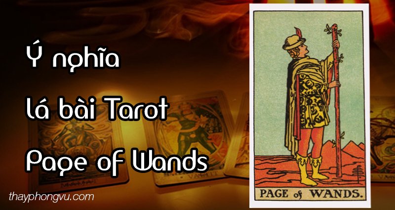 Ý nghĩa lá bài Page of Wands