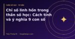 Chỉ số linh hồn trong thần số học: Cách tính và ý nghĩa 9 con số
