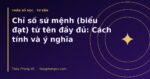 Chỉ số sứ mệnh (biểu đạt) từ tên đầy đủ: Cách tính và ý nghĩa